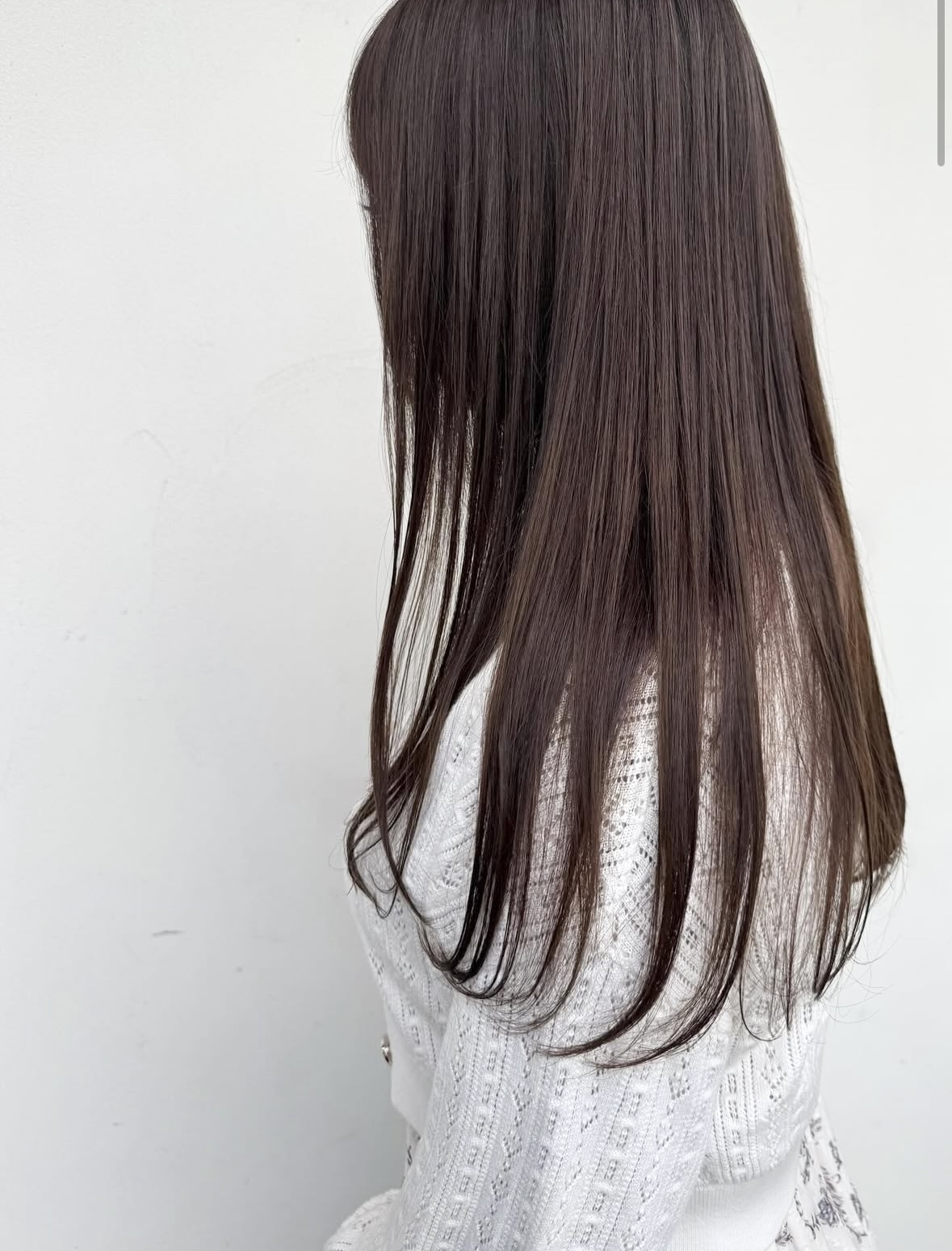 Minimalist leaf illustration