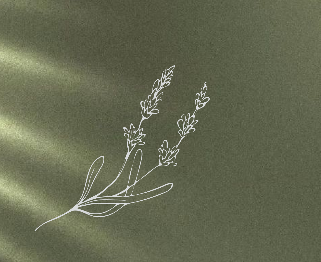 Minimalist leaf illustration