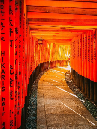 Japanese torii gates