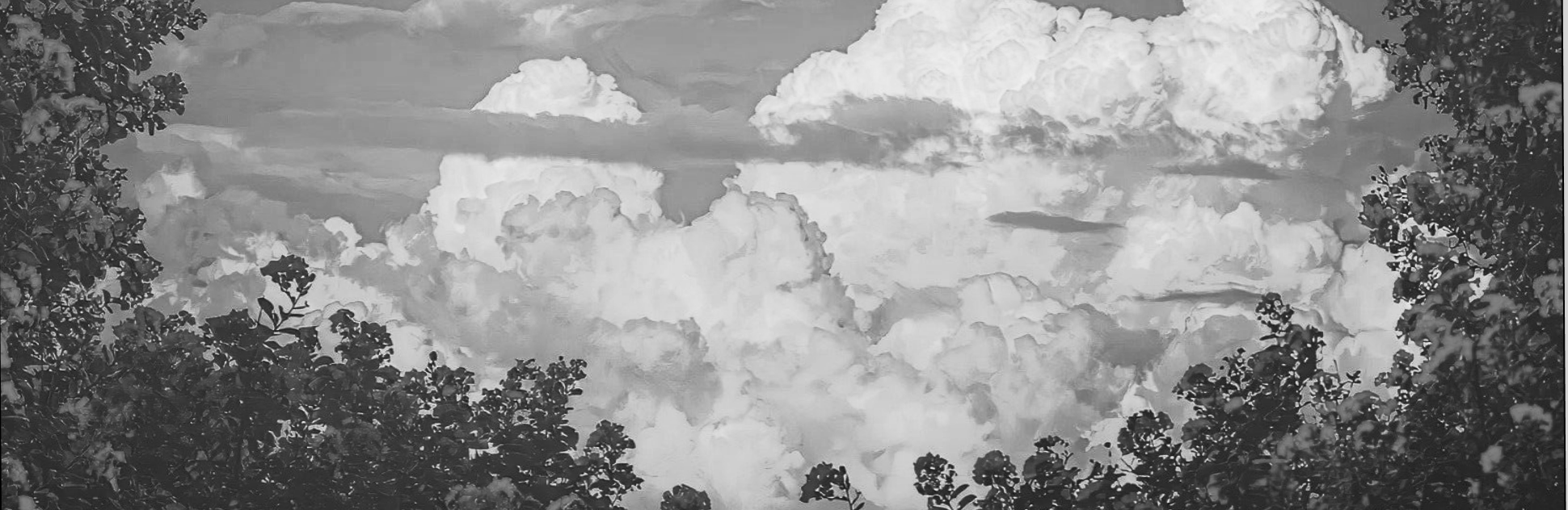 Blurred forest background